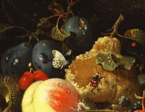La Nature Morte Et Lâge Dor De La Peinture Hollandaise